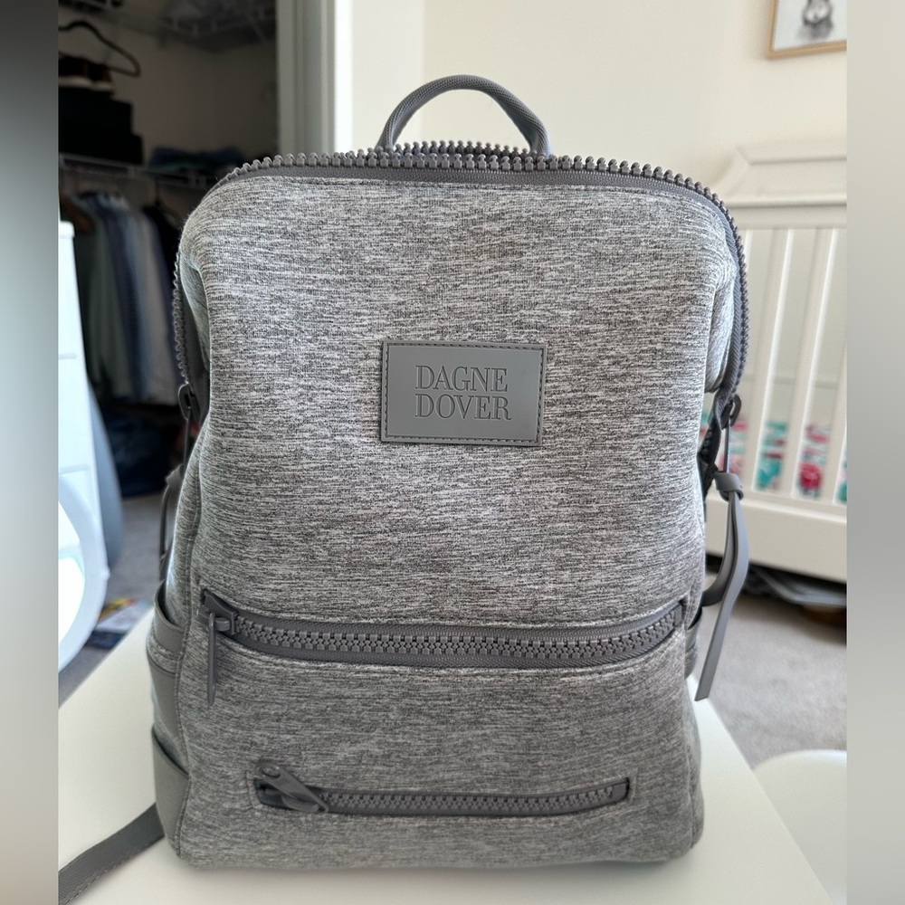 Dagne Dover Diaper Bag (barely used)